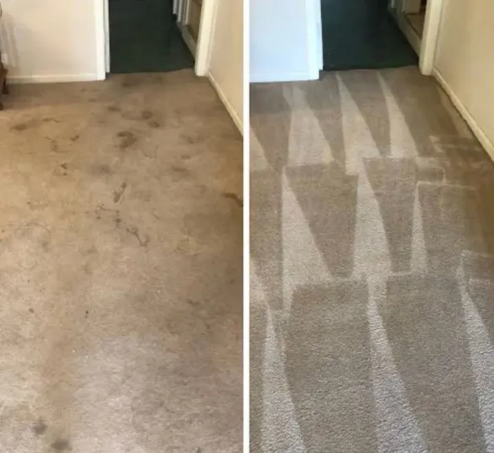 Before-and-after carpet cleaning in a hallway: stained beige carpet beside freshly cleaned patterned carpet.