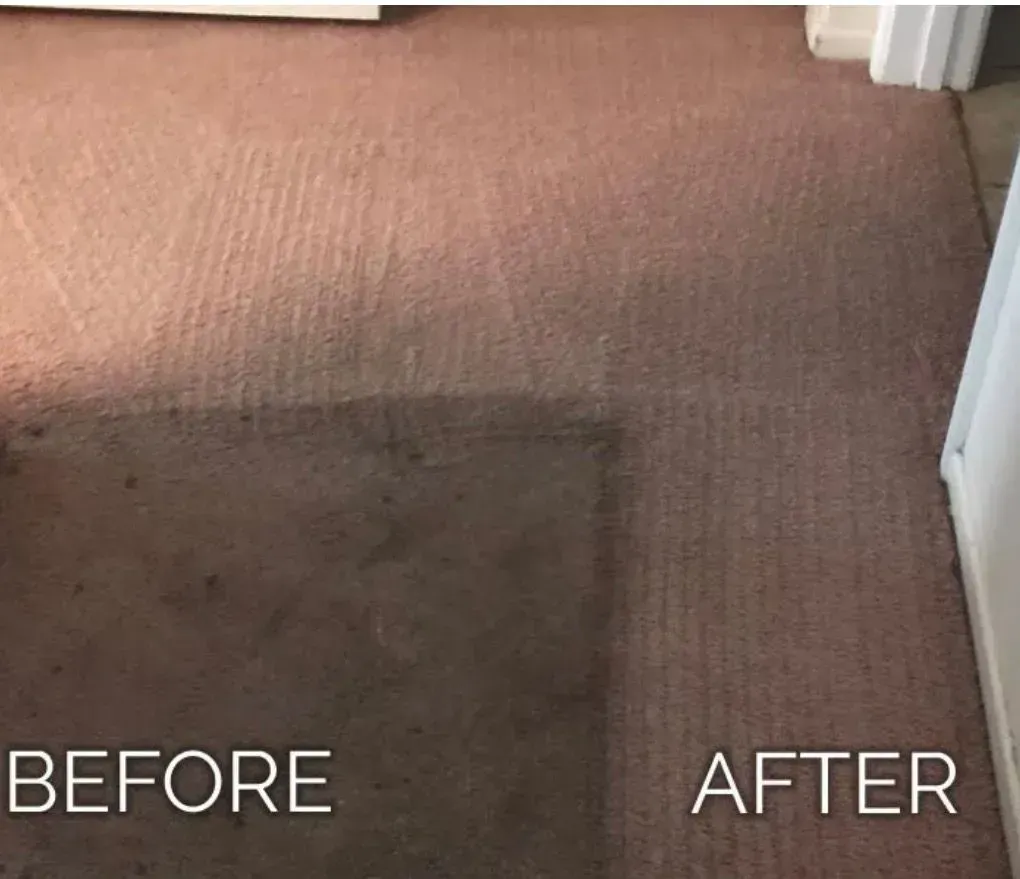 Carpet stain removal comparison: dark stained area before, clean beige carpet after.