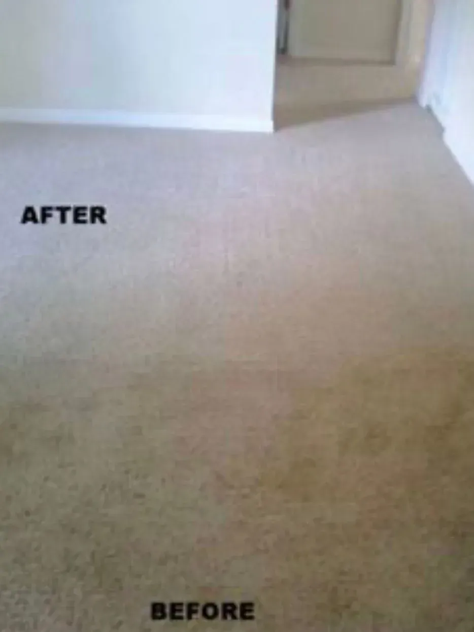 Carpet before-and-after comparison: top clean after, bottom stained before.