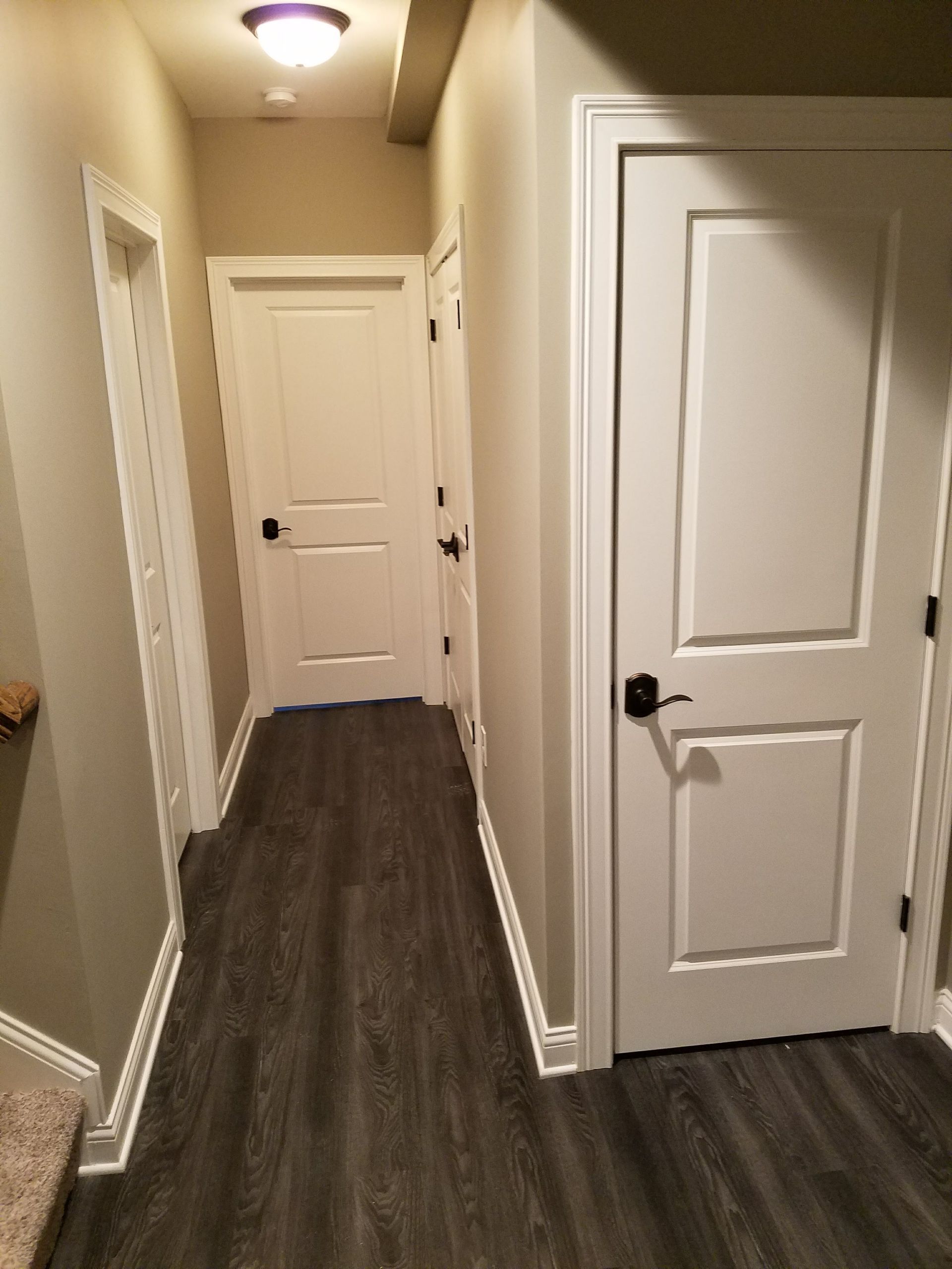 A hallway with wooden floors and white doors in a house.