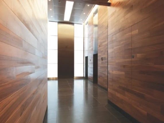 Moralt interior door blank