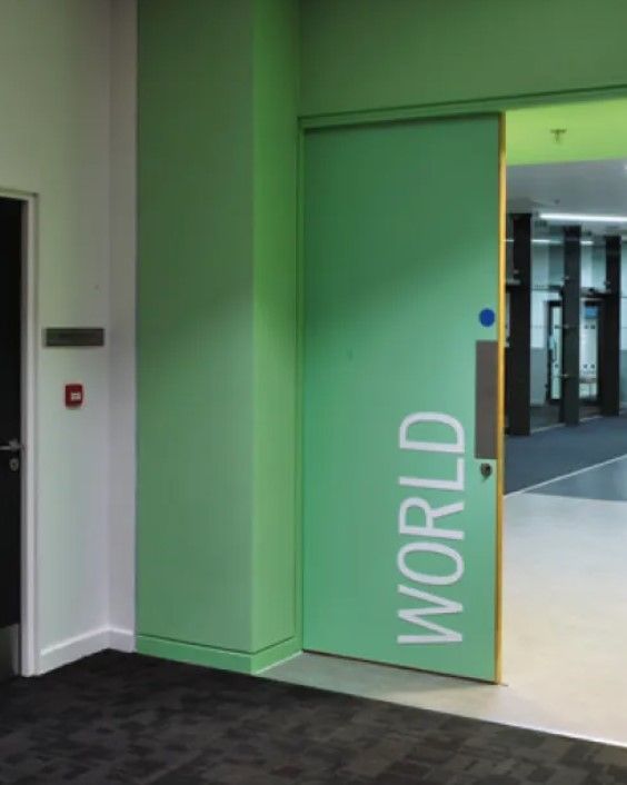 Moralt interior door blank