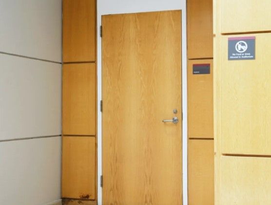 Moralt interior door blank