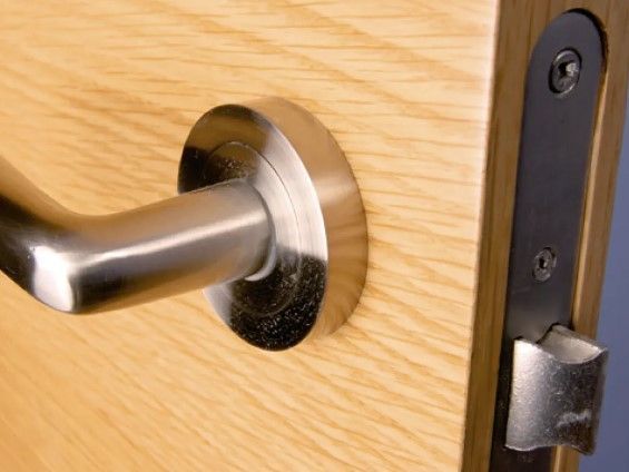Moralt interior door blank