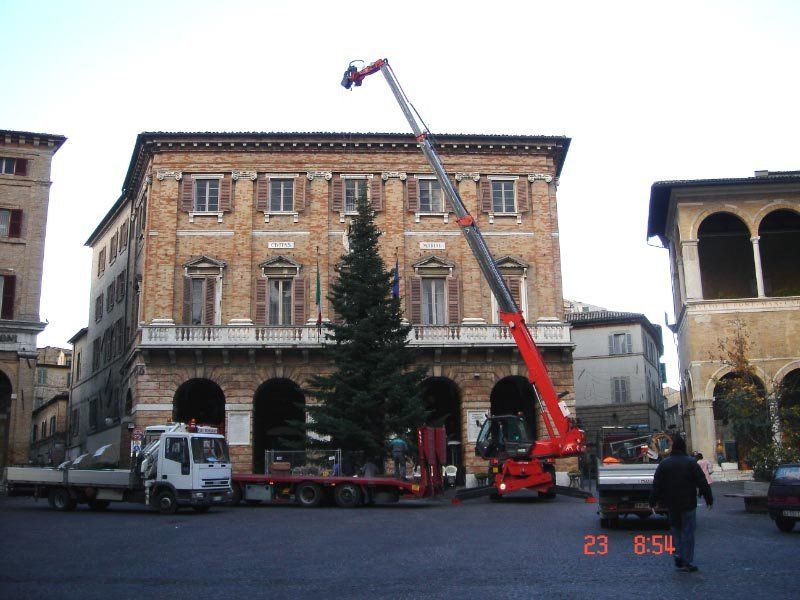 Una gru solleva un albero di Natale davanti a un edificio