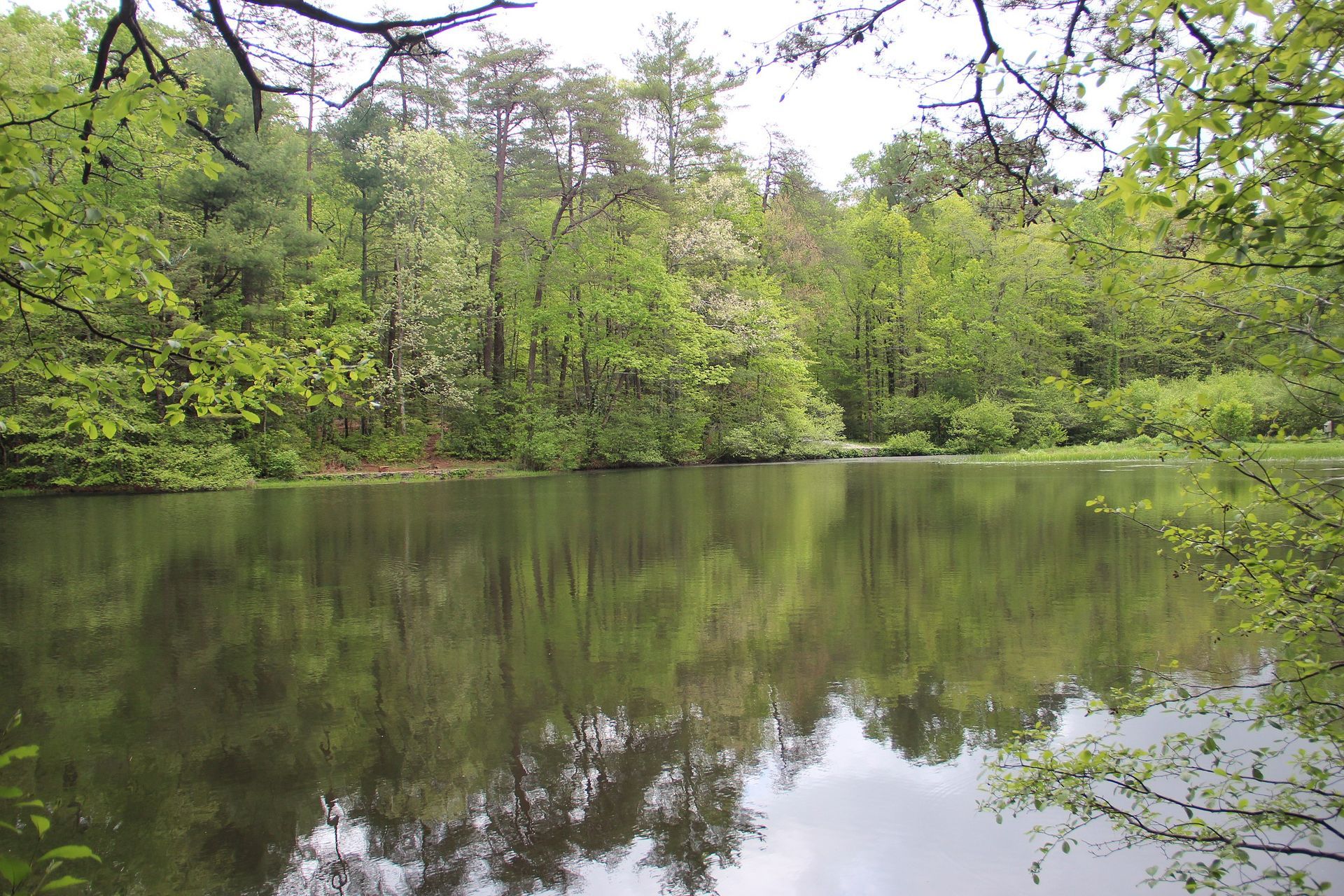 a lake surrounded by trees on a sunny day