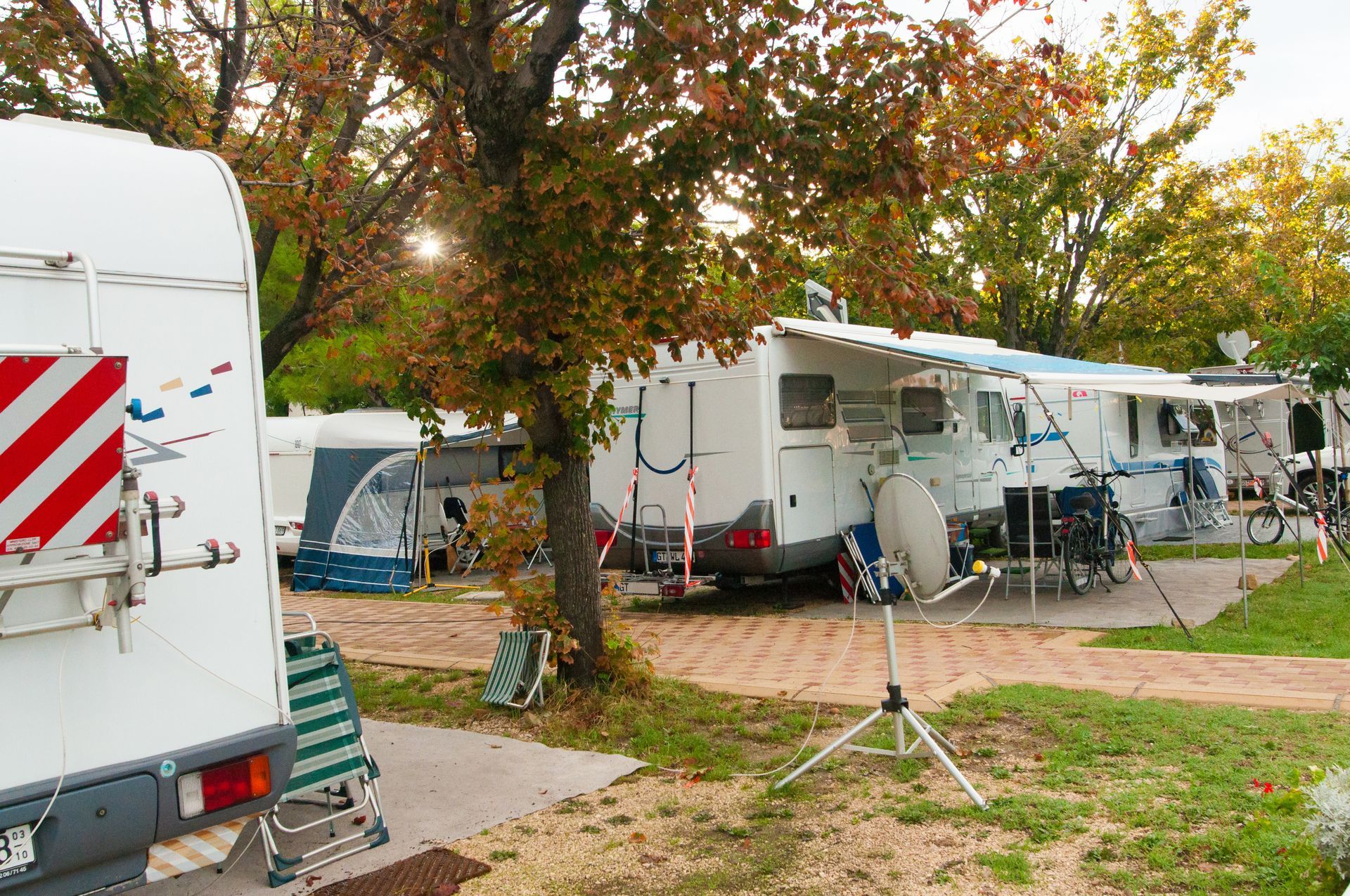 a row of rv 's are parked in a campground .