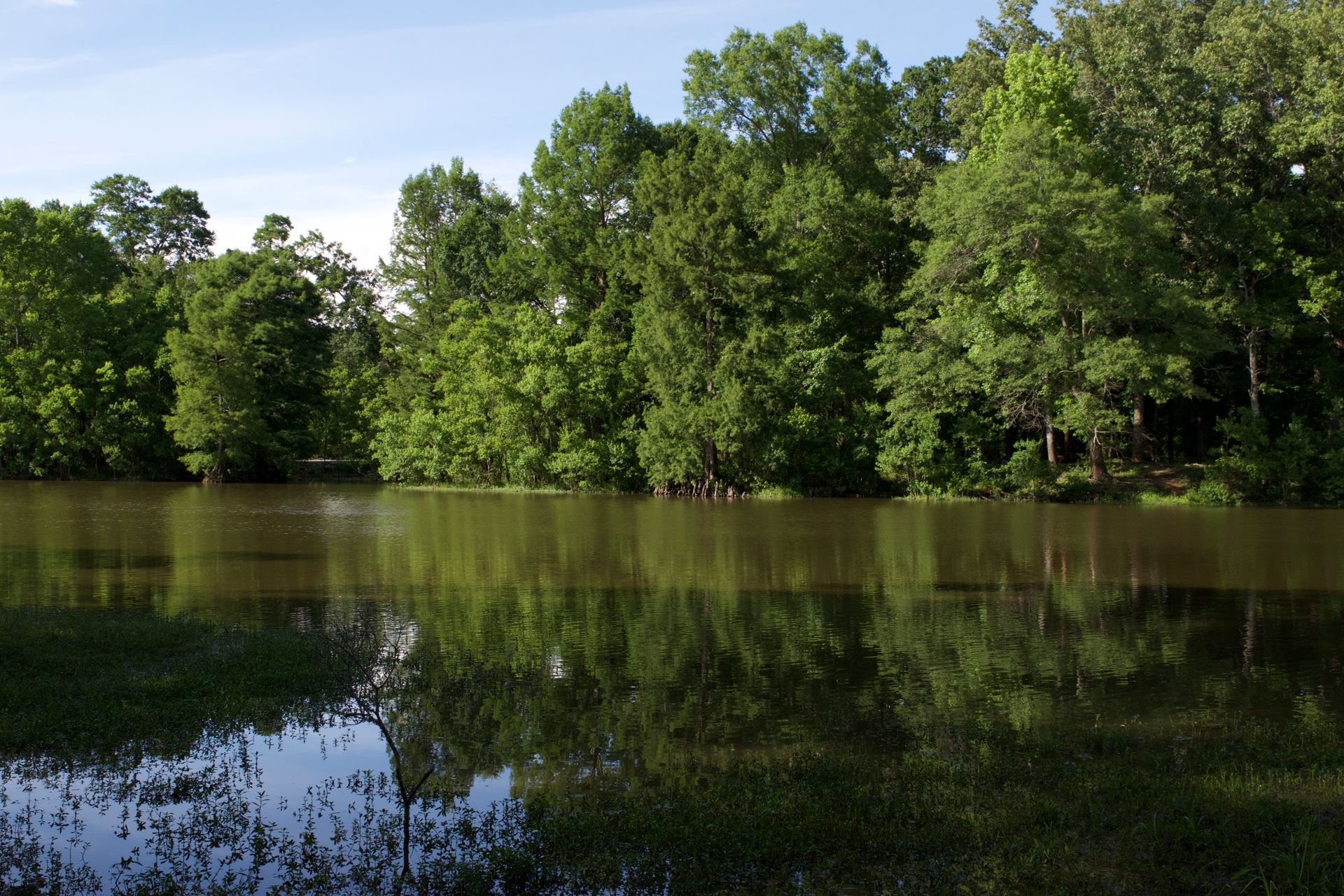 a lake surrounded by trees on a sunny day