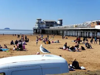 Seagull on white van roof, beach scene with pier in background, people relaxing on the sand on a sunny day.