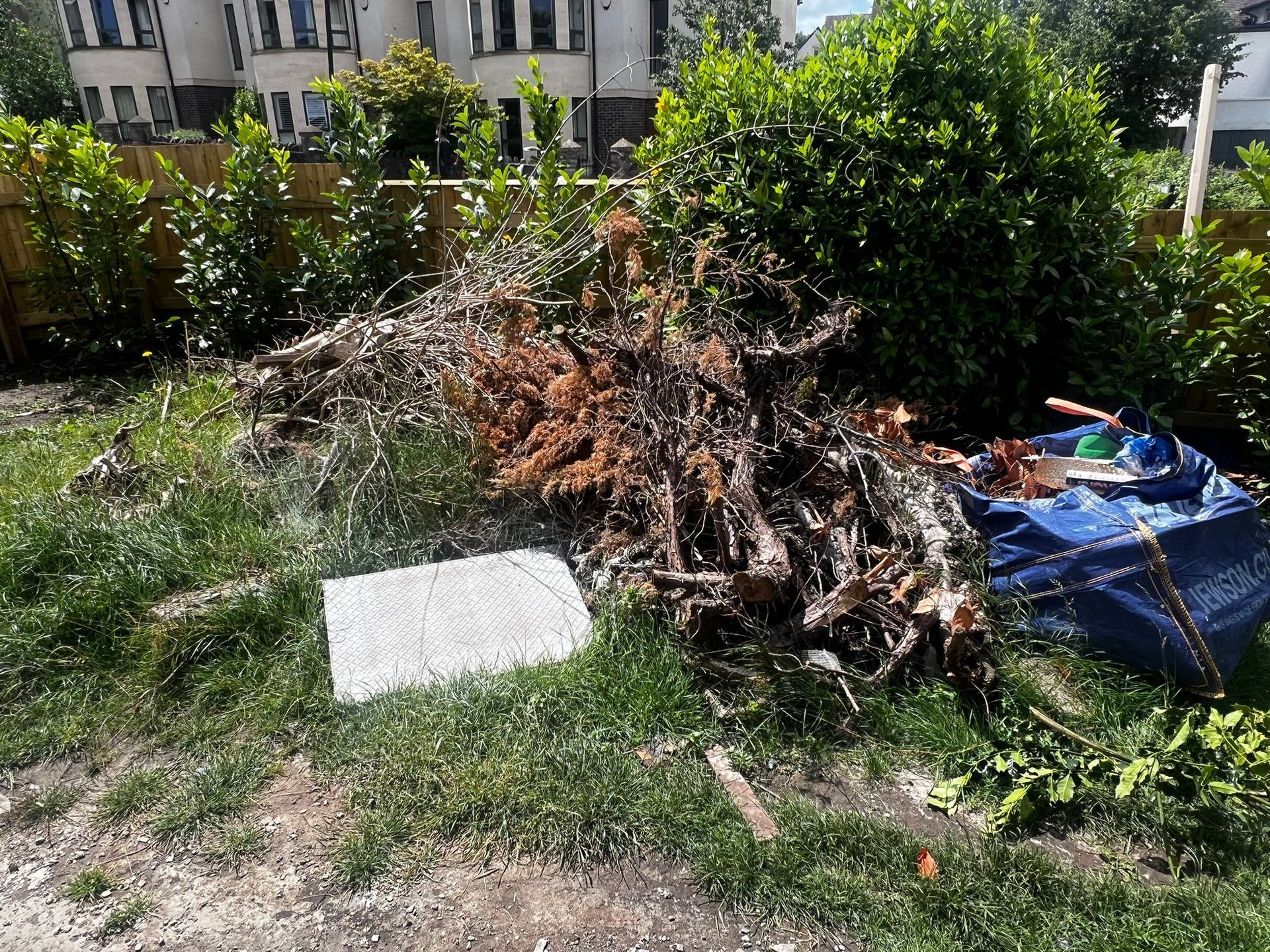 Pile of yard debris and branches on grass beside a blue tarp in a sunny garden area