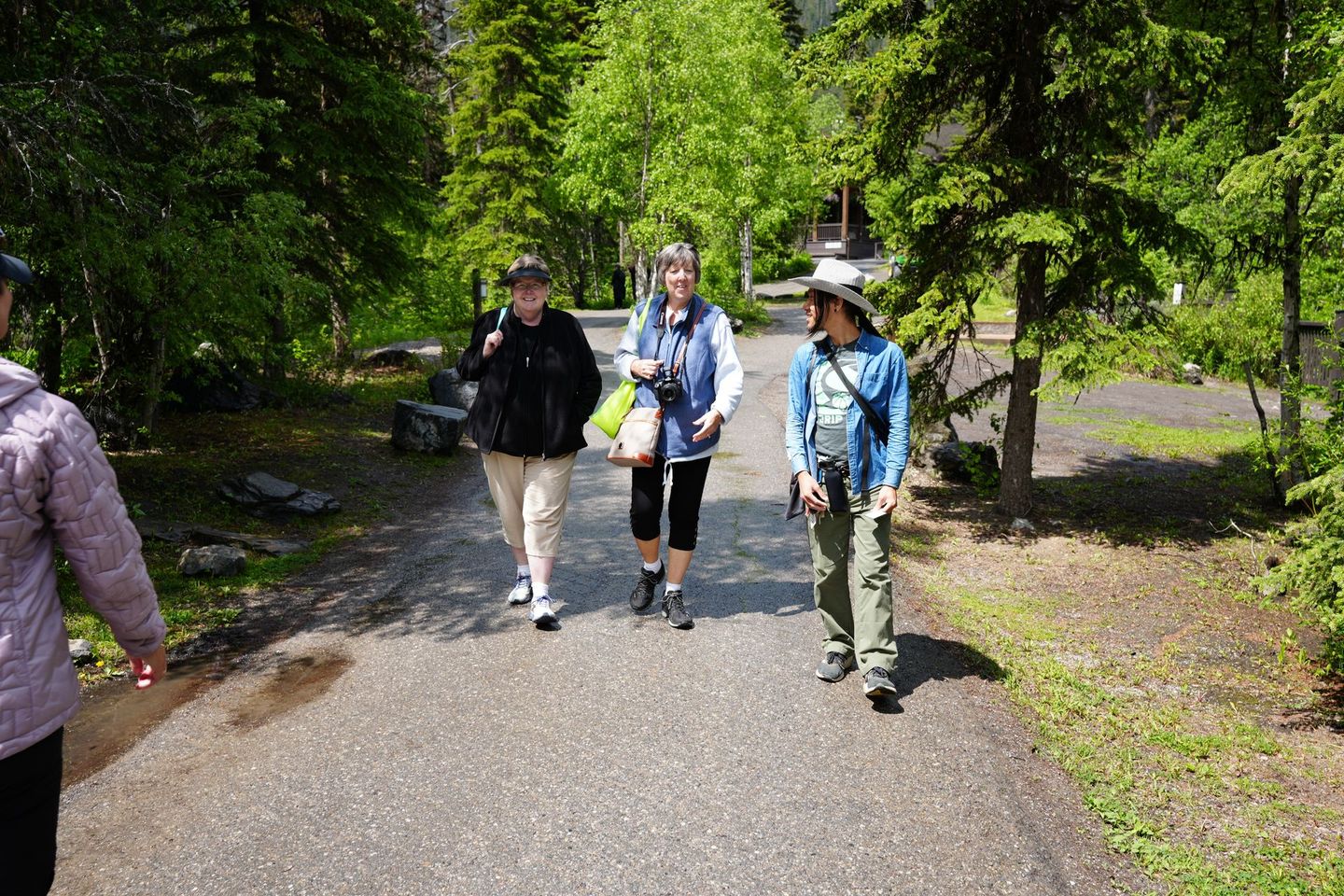 Guided Hike in Yoho National Park captured by Banff Bear Travel professional photographer guide