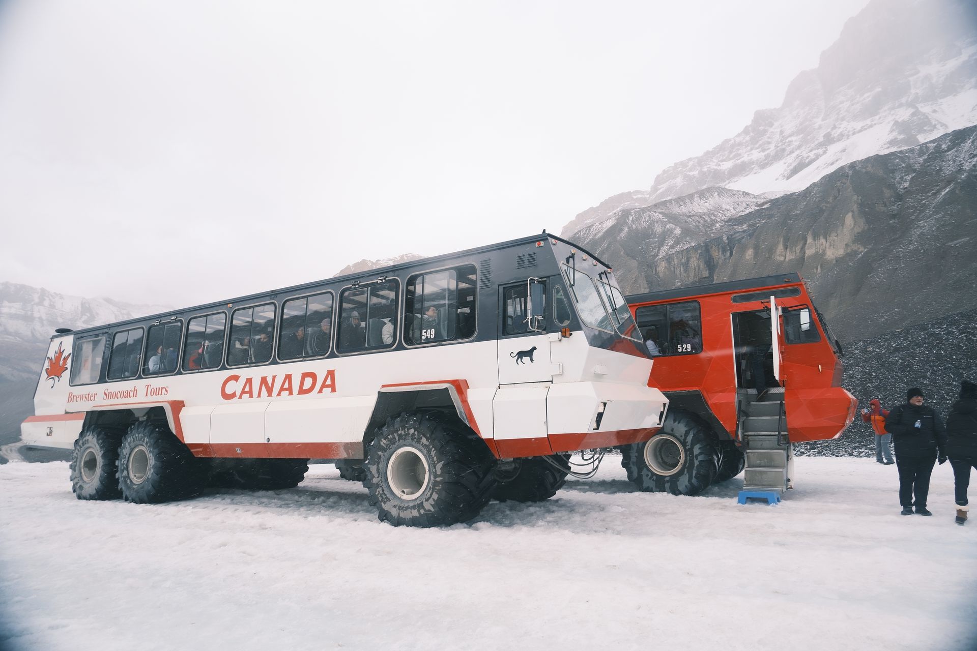 Banff Bear Travel tour group Icefields Parkway Alberta
