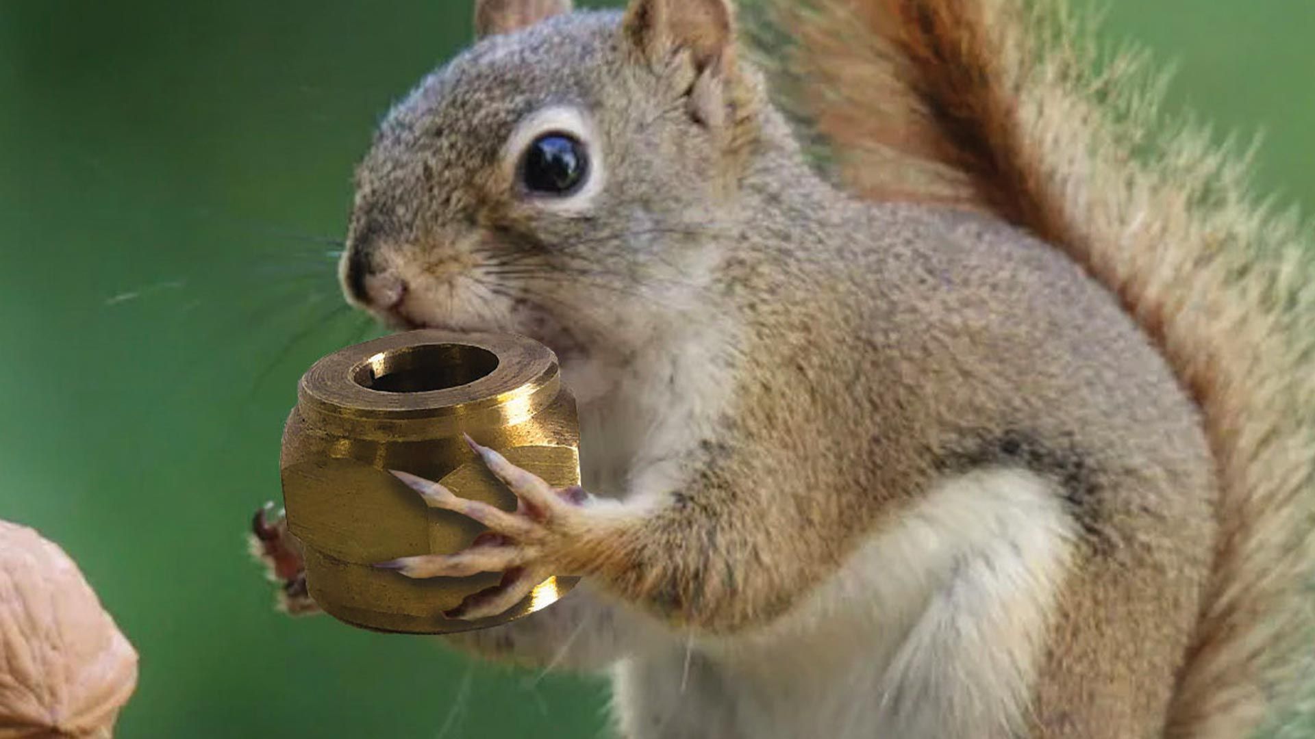 A squirrel is holding a jar of honey in its mouth.