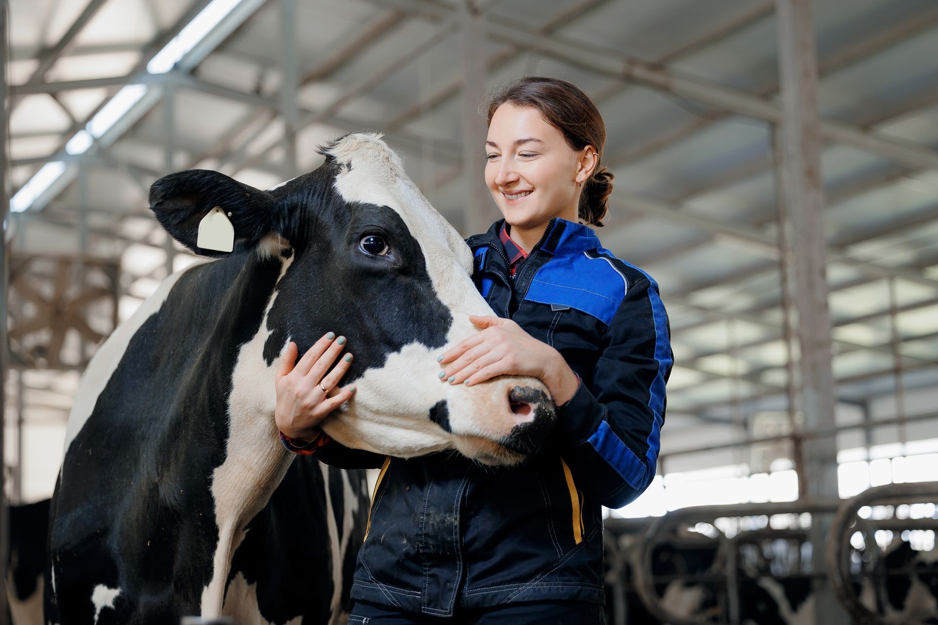 Girl with dairy cow