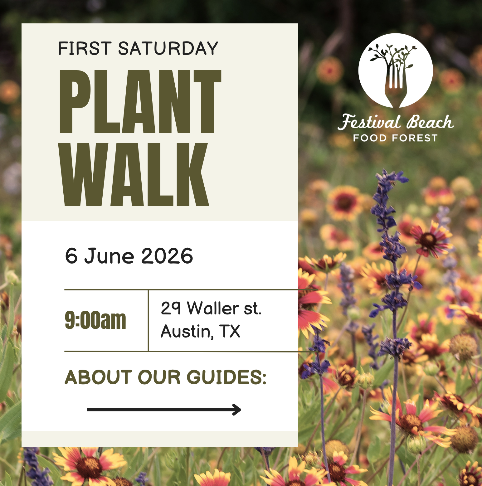 Plant Walk: Festival Beach Food Forest