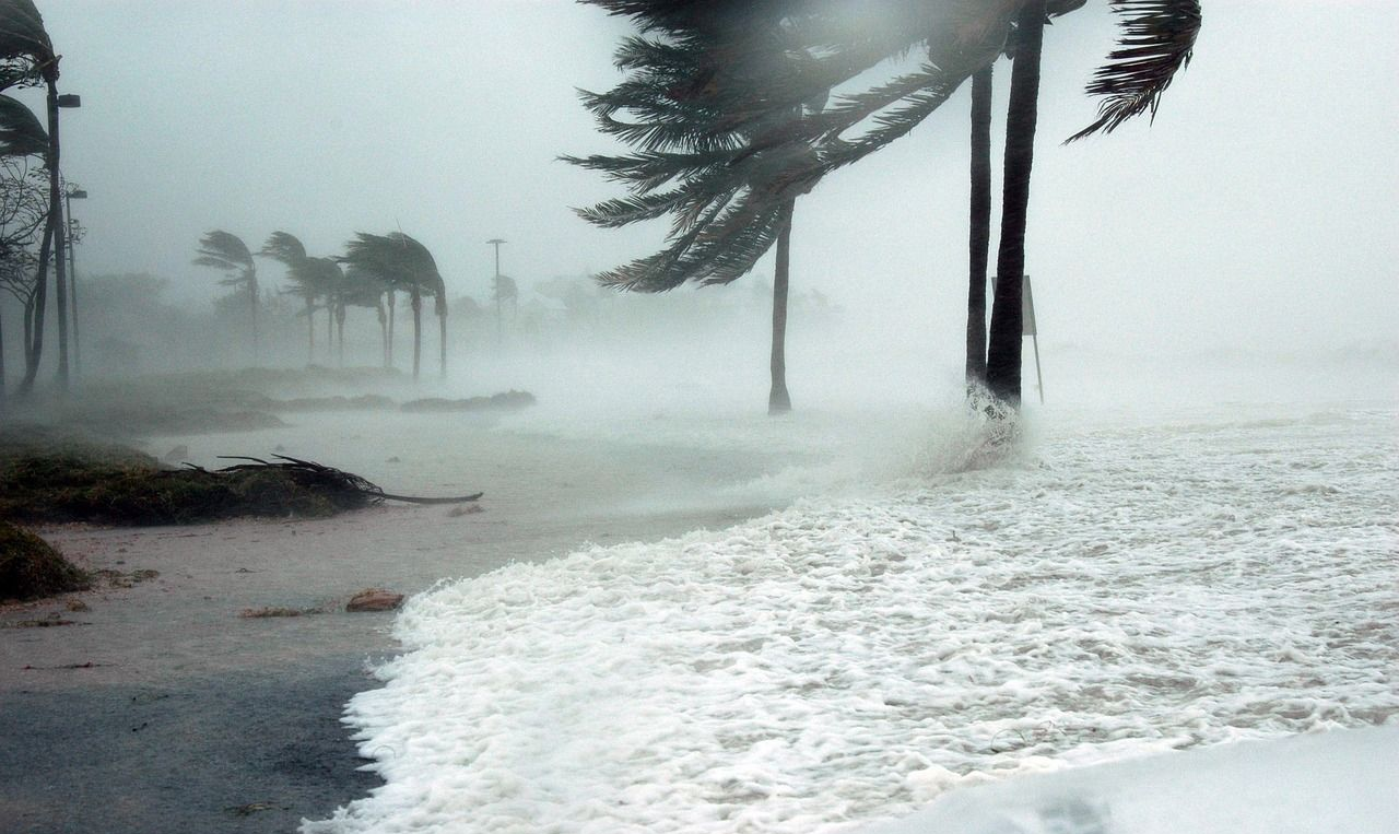 Beach scene during a storm; palm trees bend in strong winds as waves crash on shore.