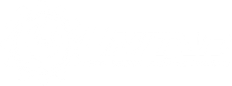 White logo for Unitad Professional Plumbing Services featuring gears and text.