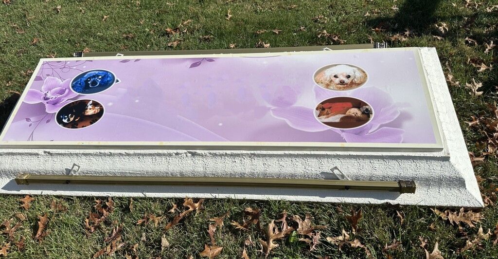 A purple and white coffin is sitting on top of a grass covered field.