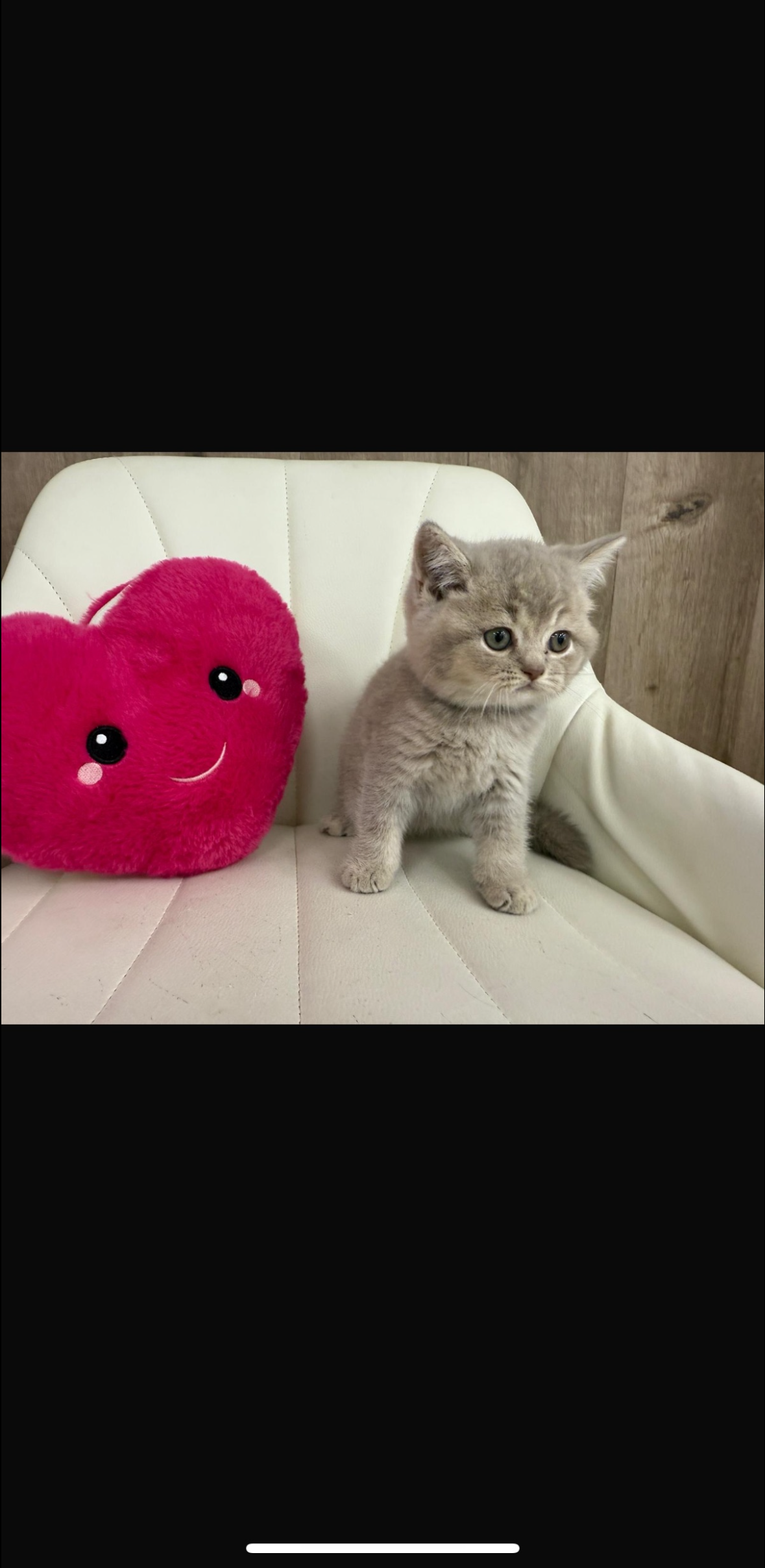 A gray kitten sitting on a white chair next to a pink heart-shaped pillow.