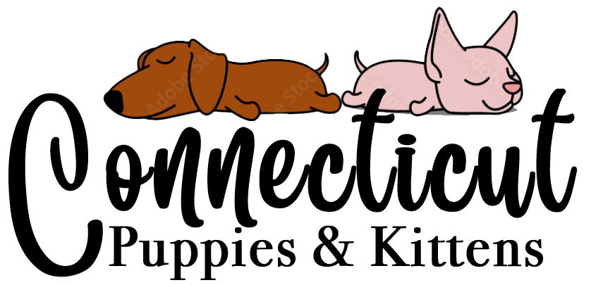 The logo for connecticut puppies and kittens shows a dog and a cat sleeping next to each other.
