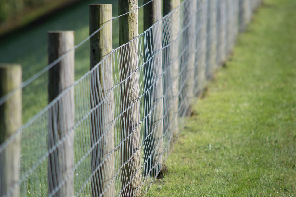 A Wooden Fence With Wire Mesh in a Green Field — Smiddy's Services In Lake Munmorah, NSW