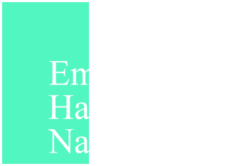 Emerald City Handyman of Naperville IL