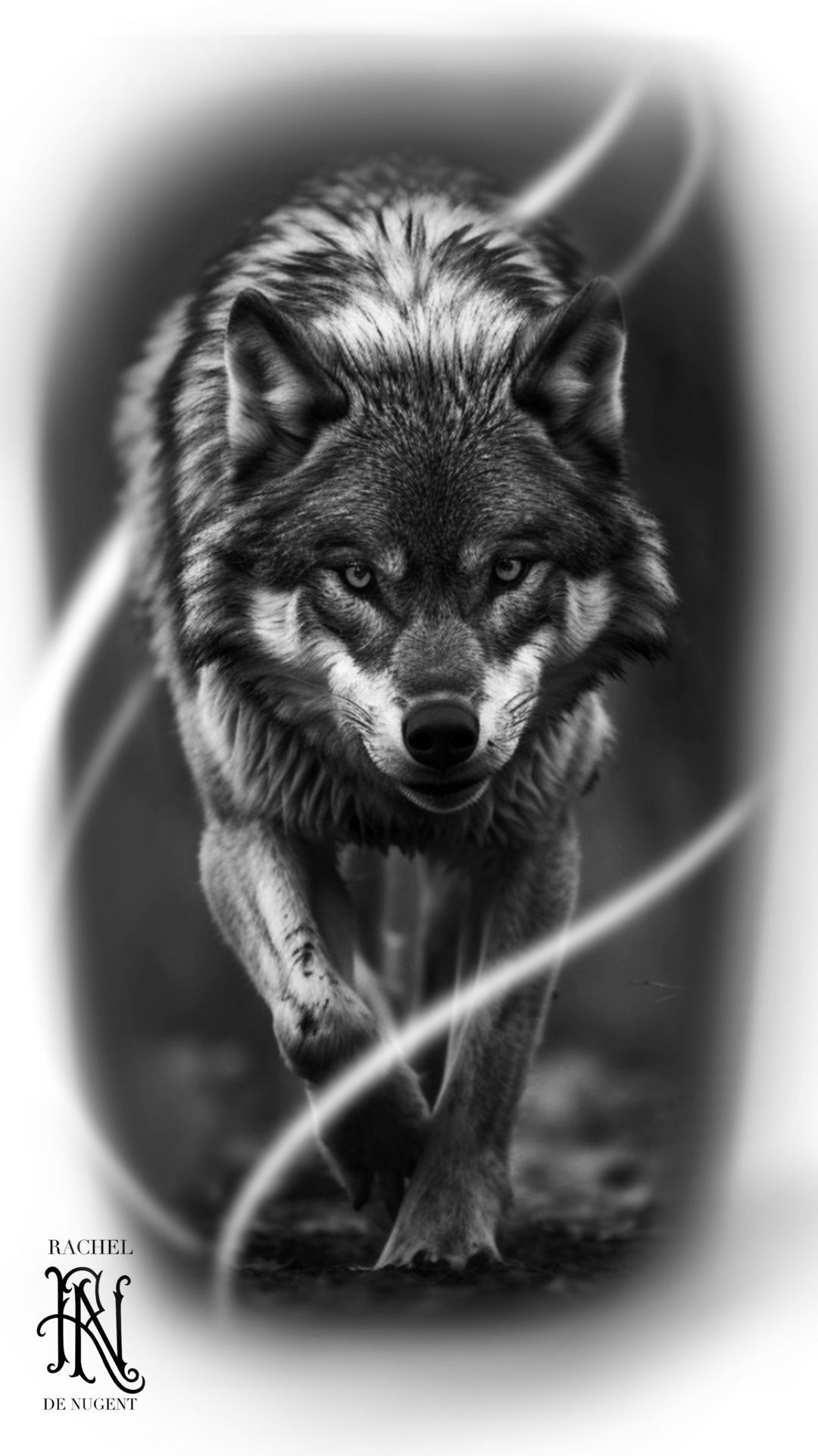 Black-and-white wolf walking forward through wispy mist, with a dark, dramatic background.