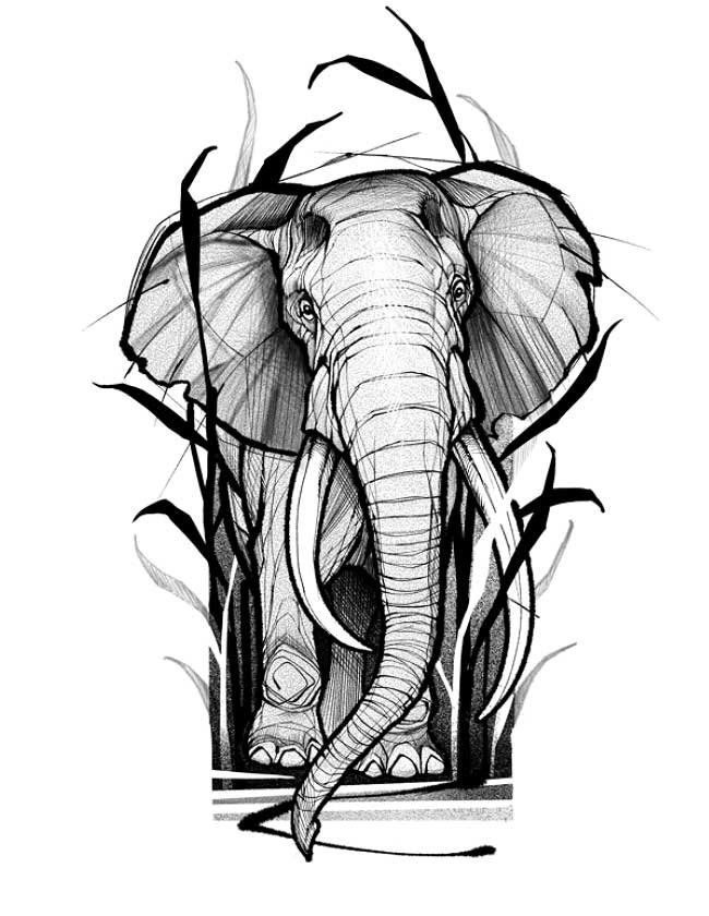 A black and white drawing of an elephant surrounded by tall grass.