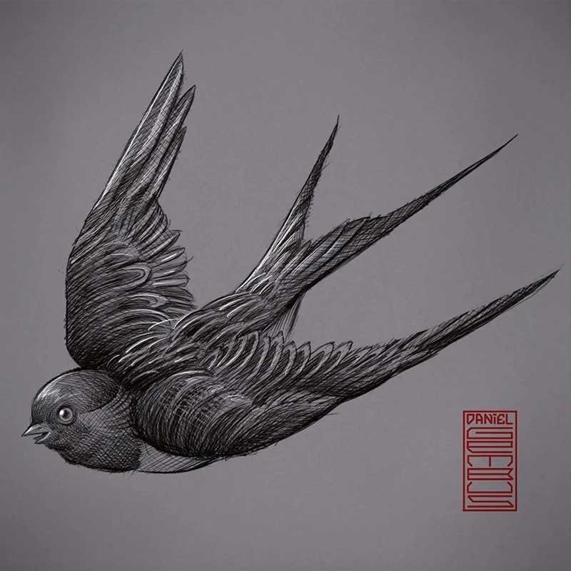 A black and white drawing of a bird with the name vanel on the bottom