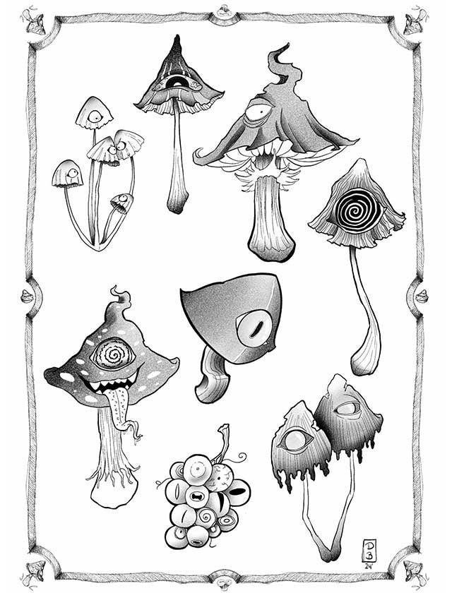 A black and white drawing of different types of mushrooms.