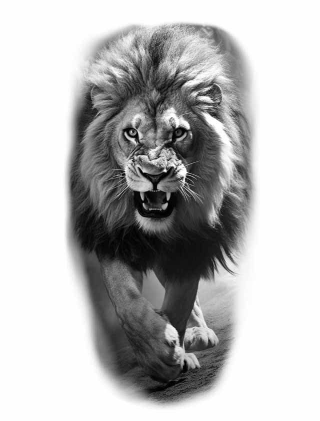 A black and white photo of a lion with its mouth open.