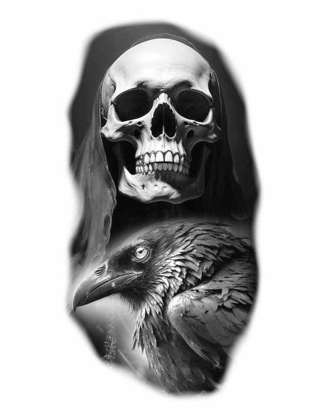 A black and white drawing of a skull and a crow.