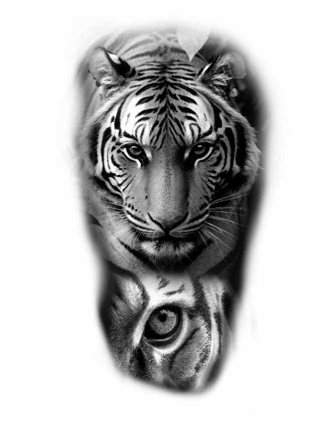 A black and white drawing of a tiger with a reflection of the tiger 's eye.