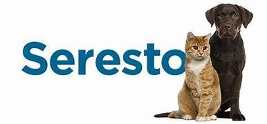 Un cane e un gatto sono seduti uno accanto all'altro davanti al logo seresto.