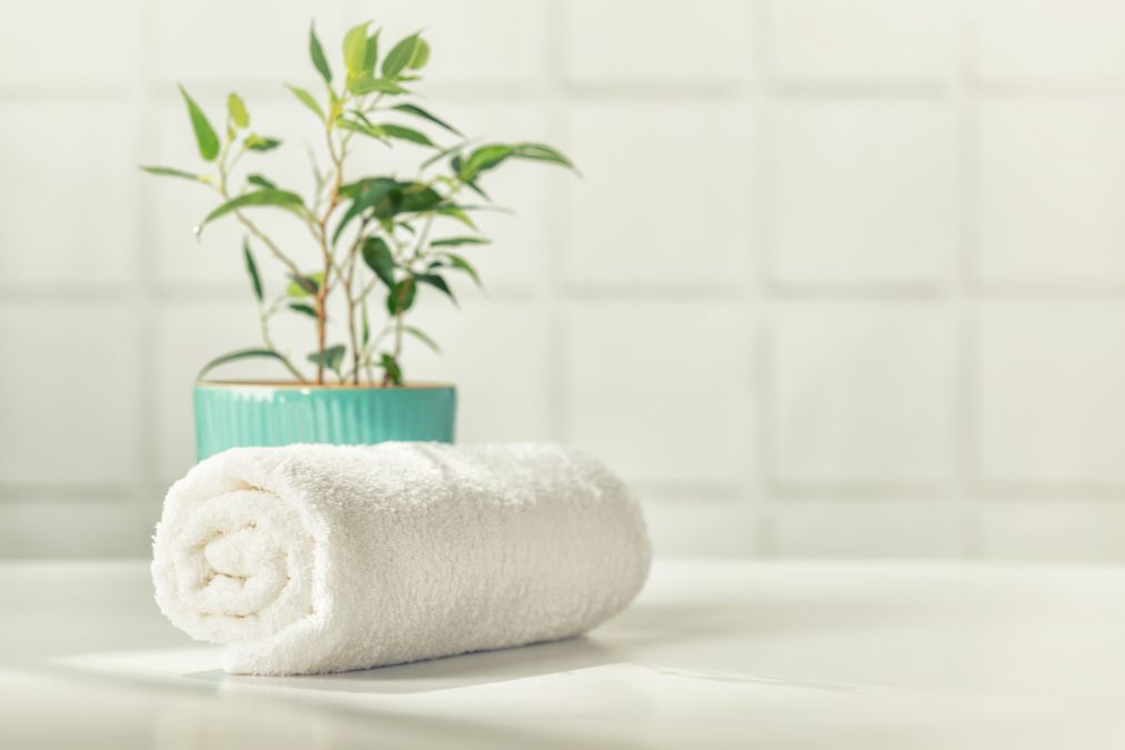 Towel and plant in all white bathroom with white tiles and a white basin.