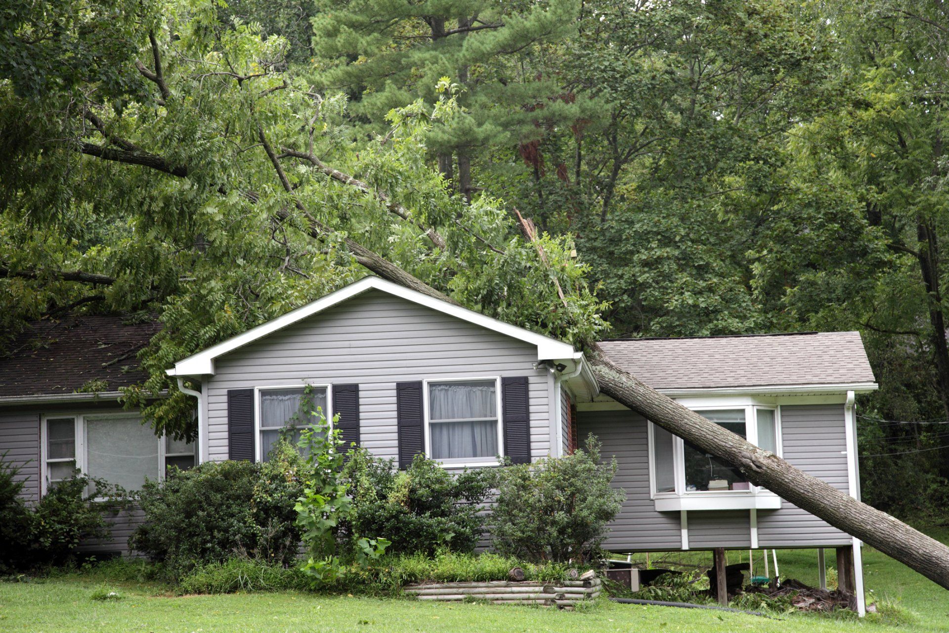 Roof Repair — Charlotte, NC — Roof Repair and Inspection Specialist LLC