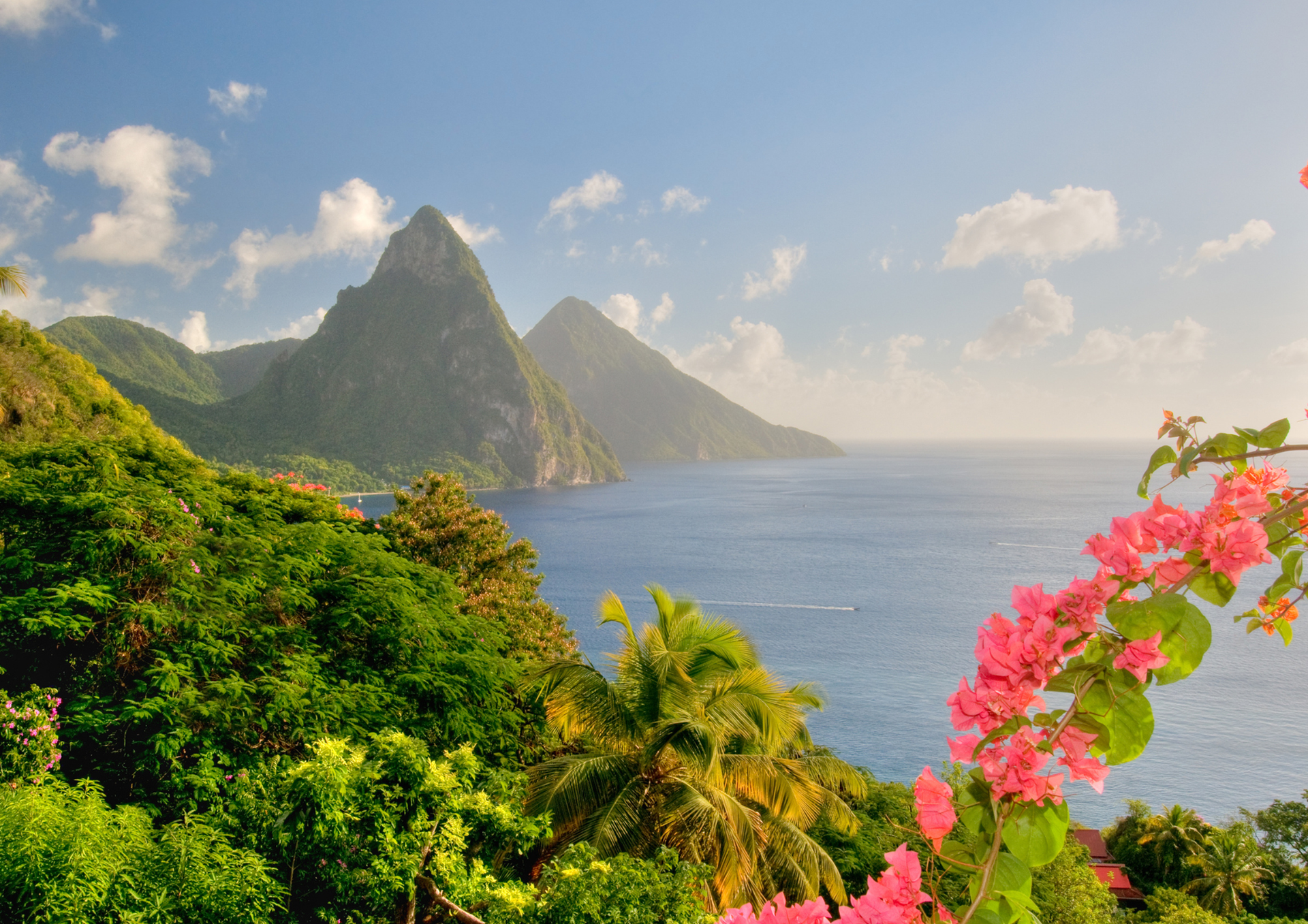 Lush tropical coastline with green mountains, blue ocean, and pink flowers in the foreground
