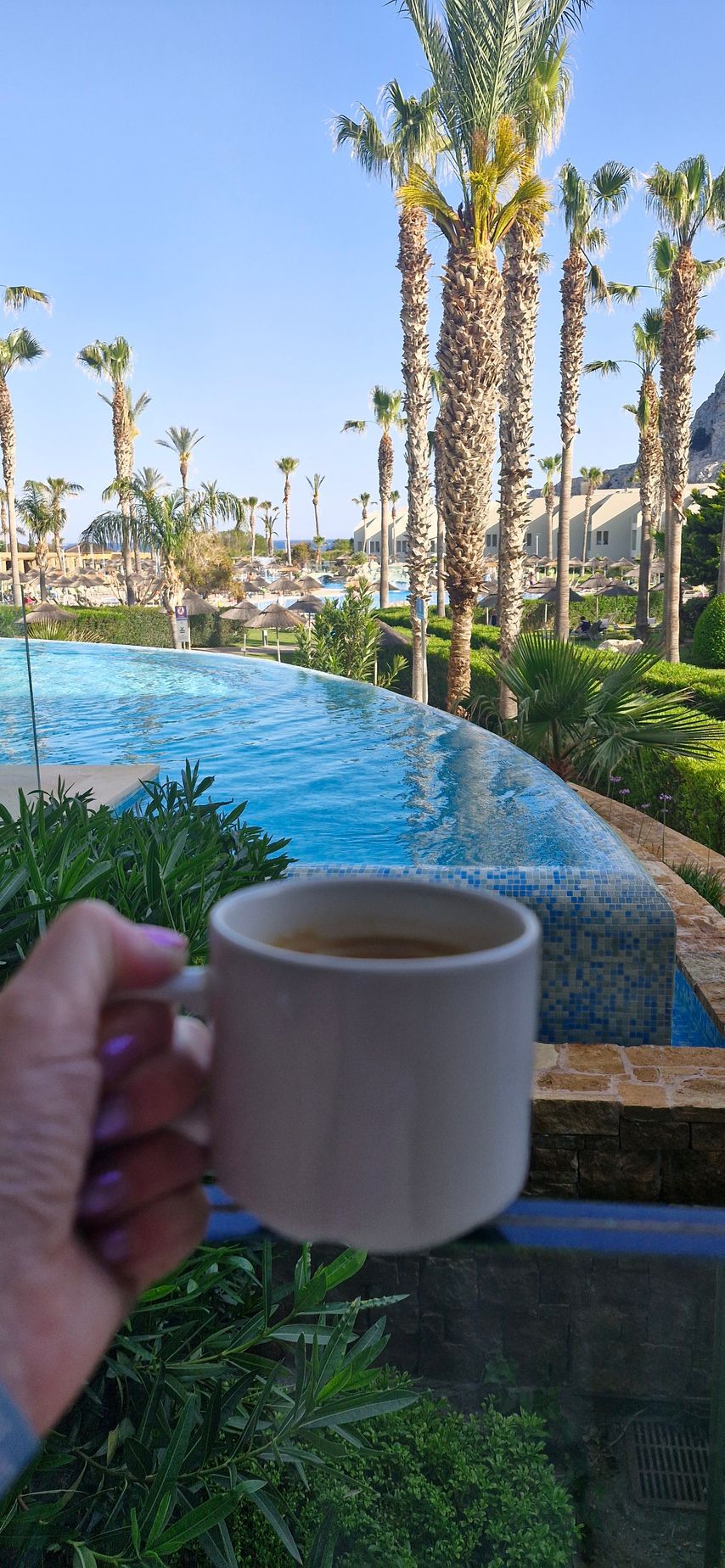 A person is holding a cup of coffee in front of a swimming pool.