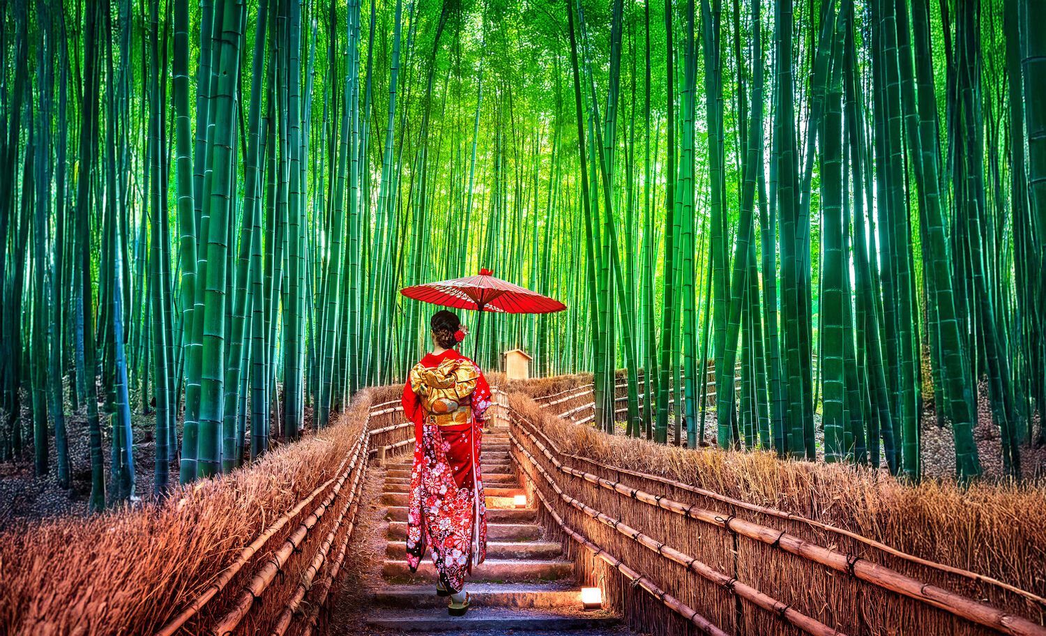 The Best of Japan