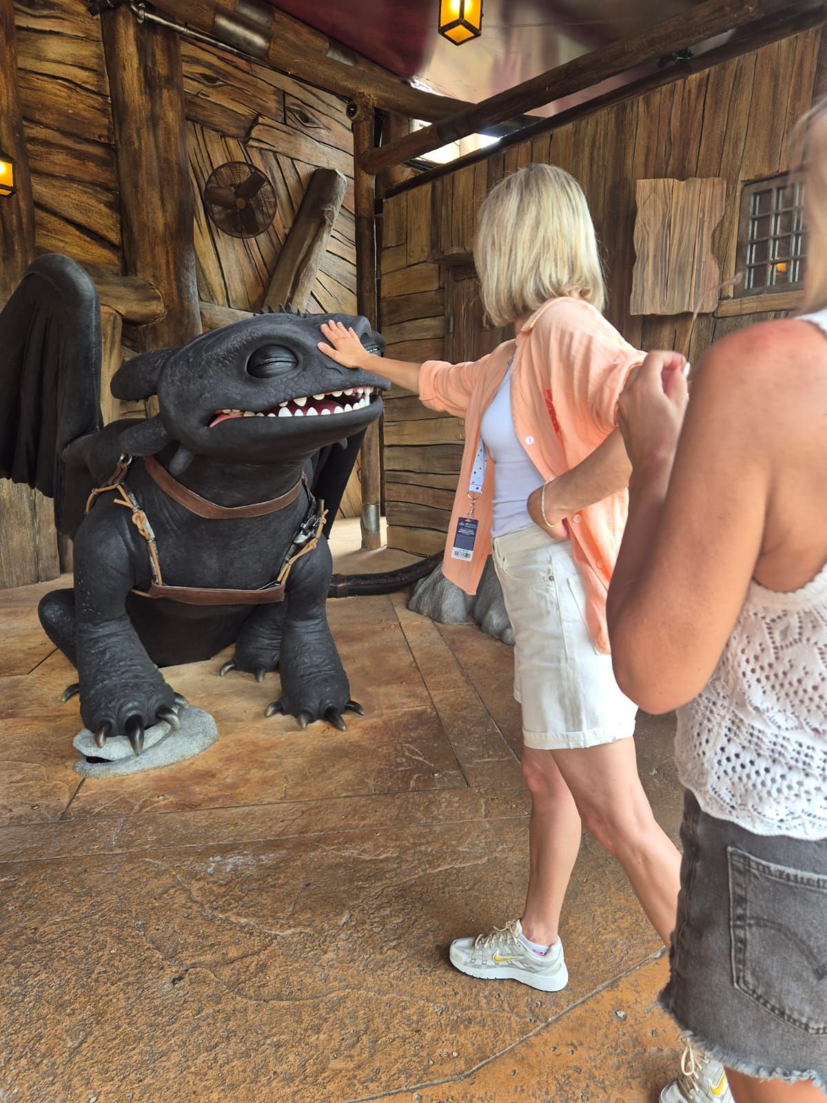 Hayley petting How to Train Your Dragon's Toothless