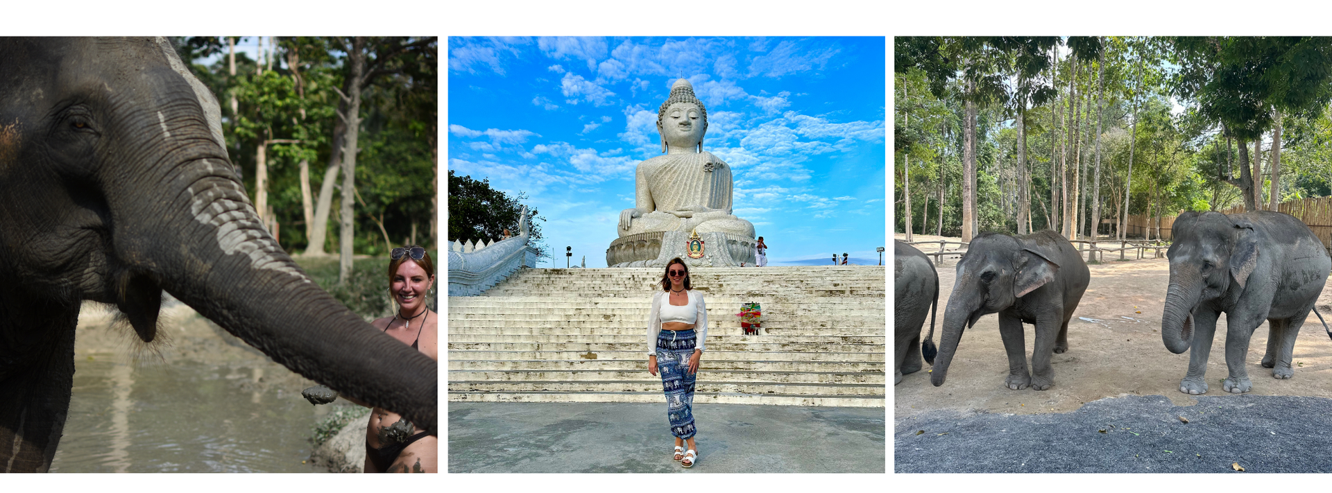 Three-panel collage. Elephants and a giant buddha statue 