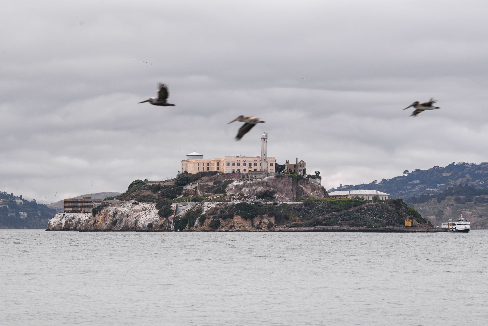 Alcatraz Island in San Francisco Bay with the prison building and birds flying overhead under cloudy skies