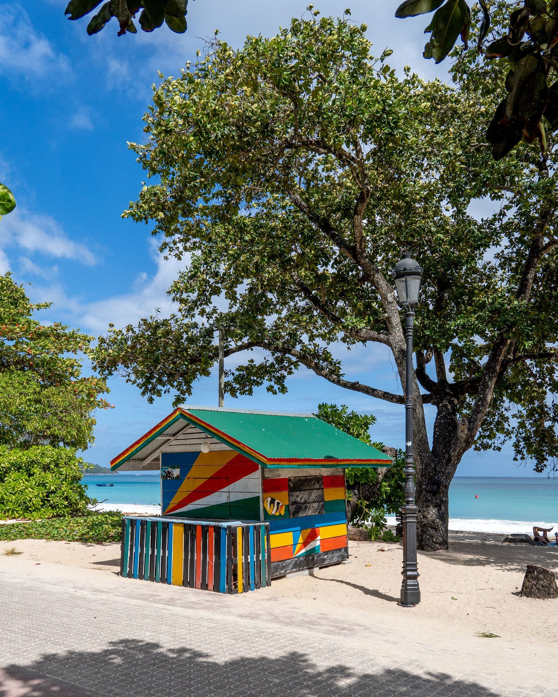 Colorful beach hut under a large tree on a sunny tropical shoreline with blue sea and sky