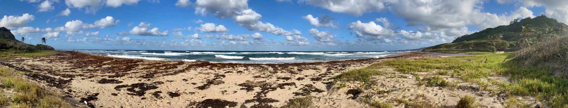 Sandy coastal landscape with scrub, blue sky, clouds, and mountains in the distance