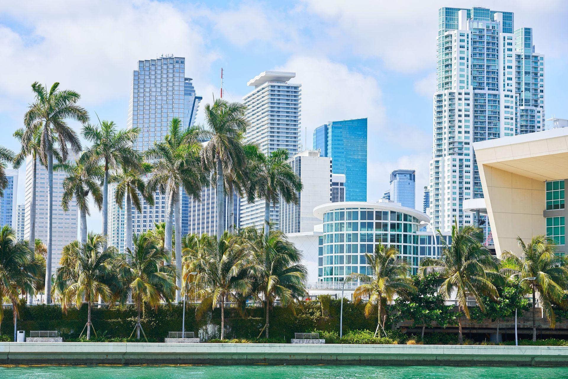 Palm trees and modern skyscrapers line a sunny waterfront city skyline.