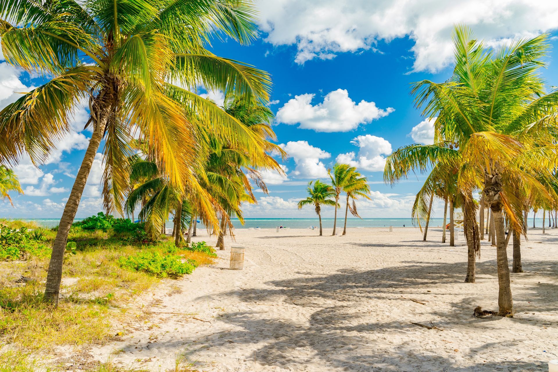 Sunny tropical beach with palm trees, white sand, and blue sky over calm ocean