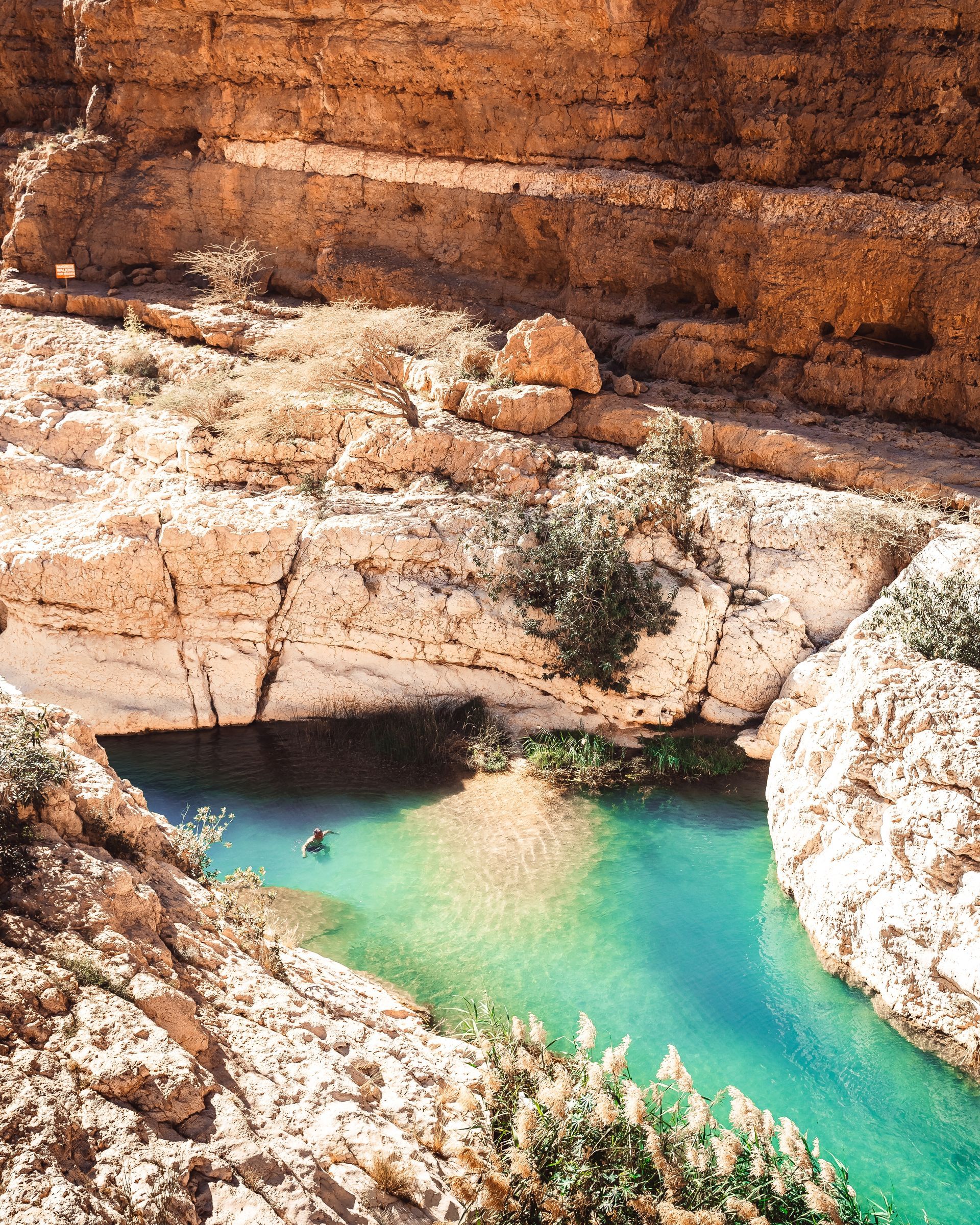 Turquoise pool in a rocky canyon with red cliffs and sparse greenery