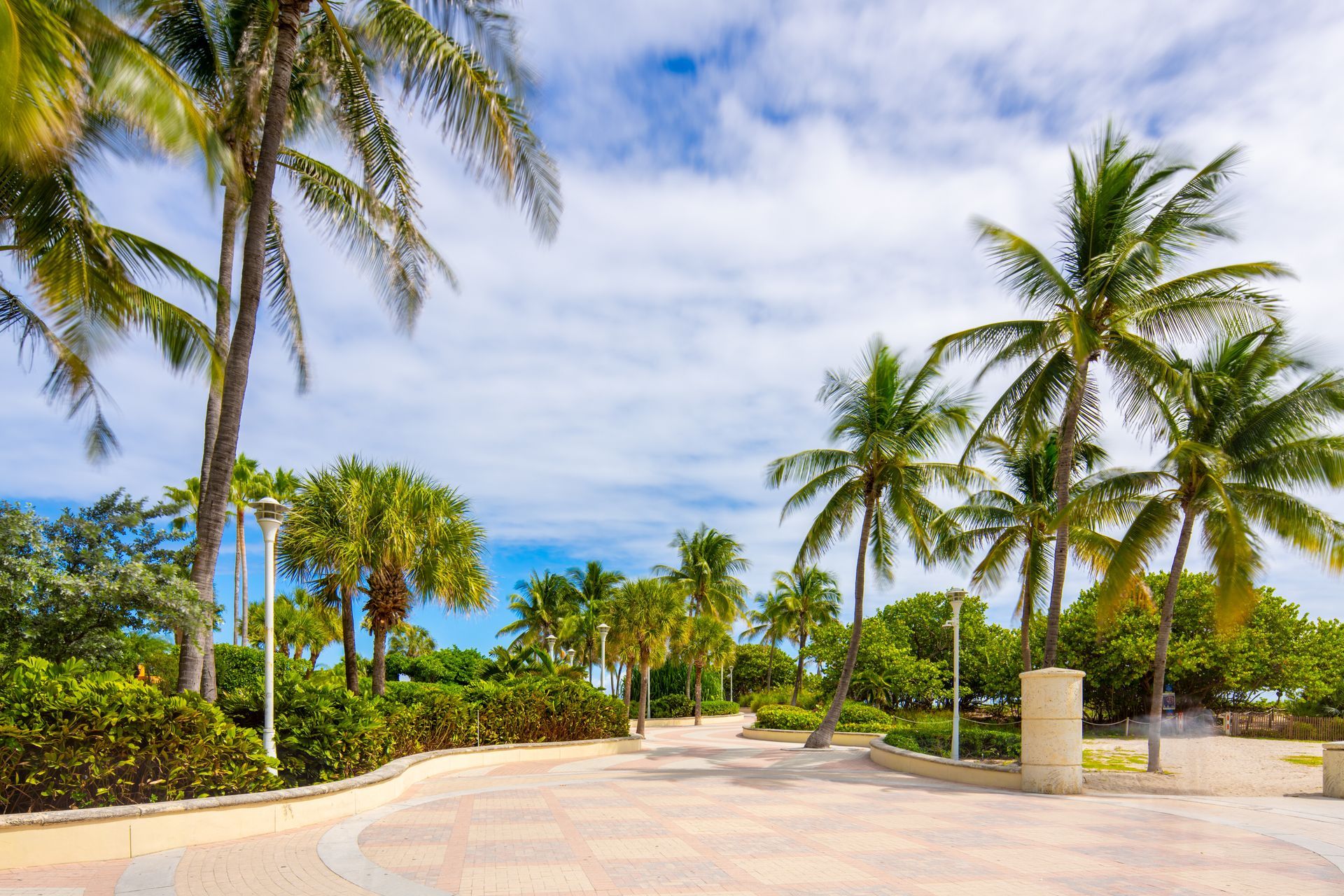 Palm-lined tropical walkway beside a sunny beach with blue sky and trimmed hedges