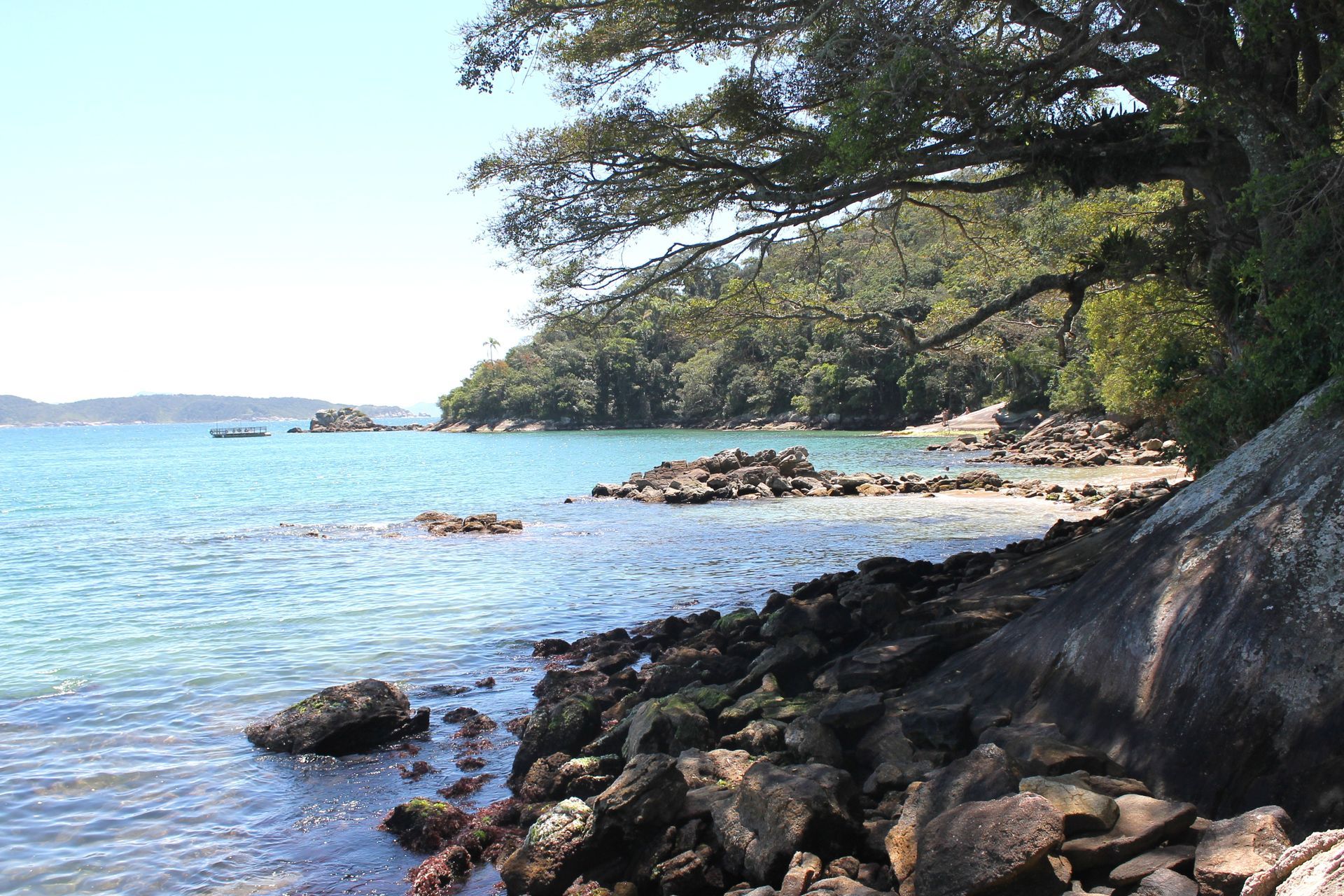 Costa rochosa com águas calmas e azuis, árvores debruçadas sobre a costa e ilhas distantes sob um céu límpido.