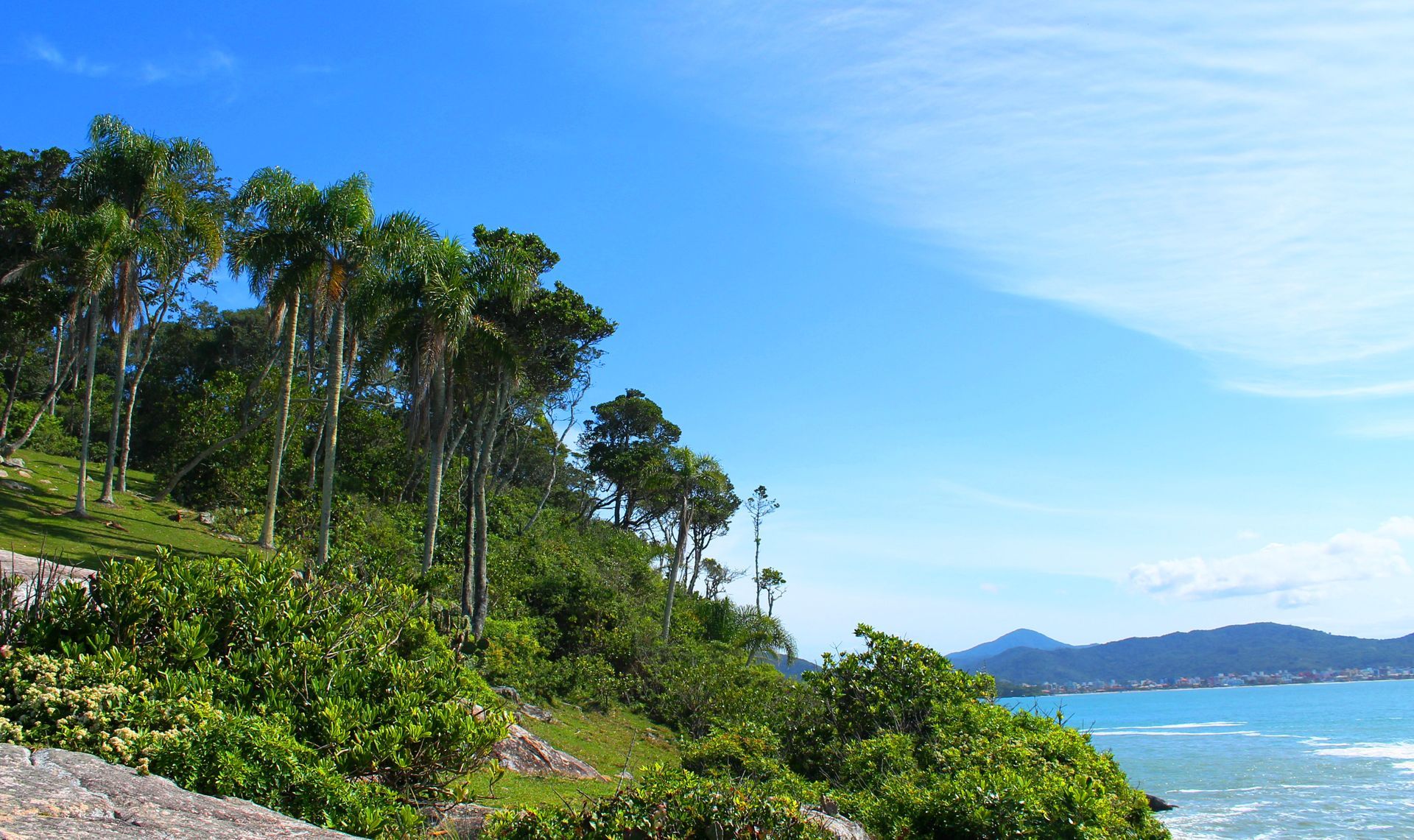 Litoral tropical com árvores verdejantes, ondas azuis do oceano e colinas distantes sob um céu límpido.